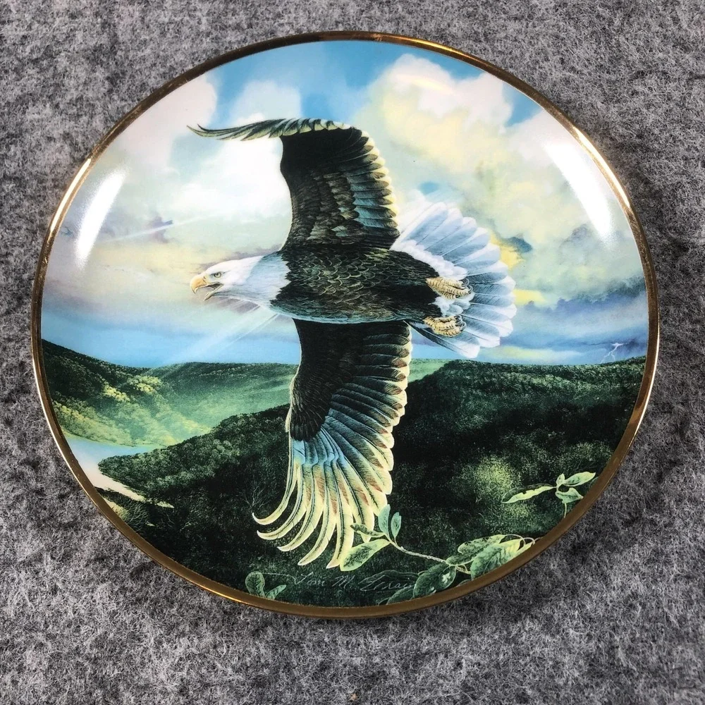Vintage Save The‎ Eagle Proud And Free Multicolor Porcelain Plate U2357